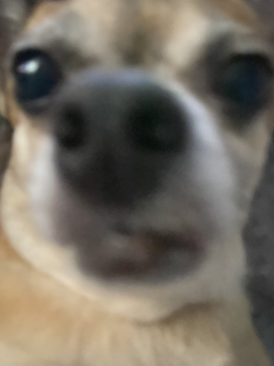 okkotsu ( DDBA SPOILERS ) tweet media