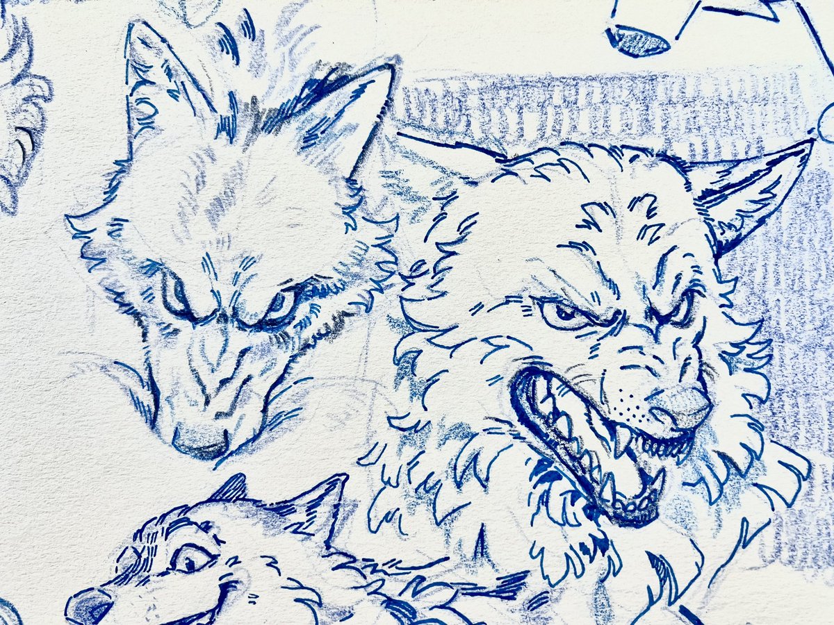 Hello it's been a while! I'm trying to teach my brain to not overwork itself so I'm taking a break from digital. Instead I'm going try drawing things out of my comfort zone, so here are some wolf studies and shenanigans :) 