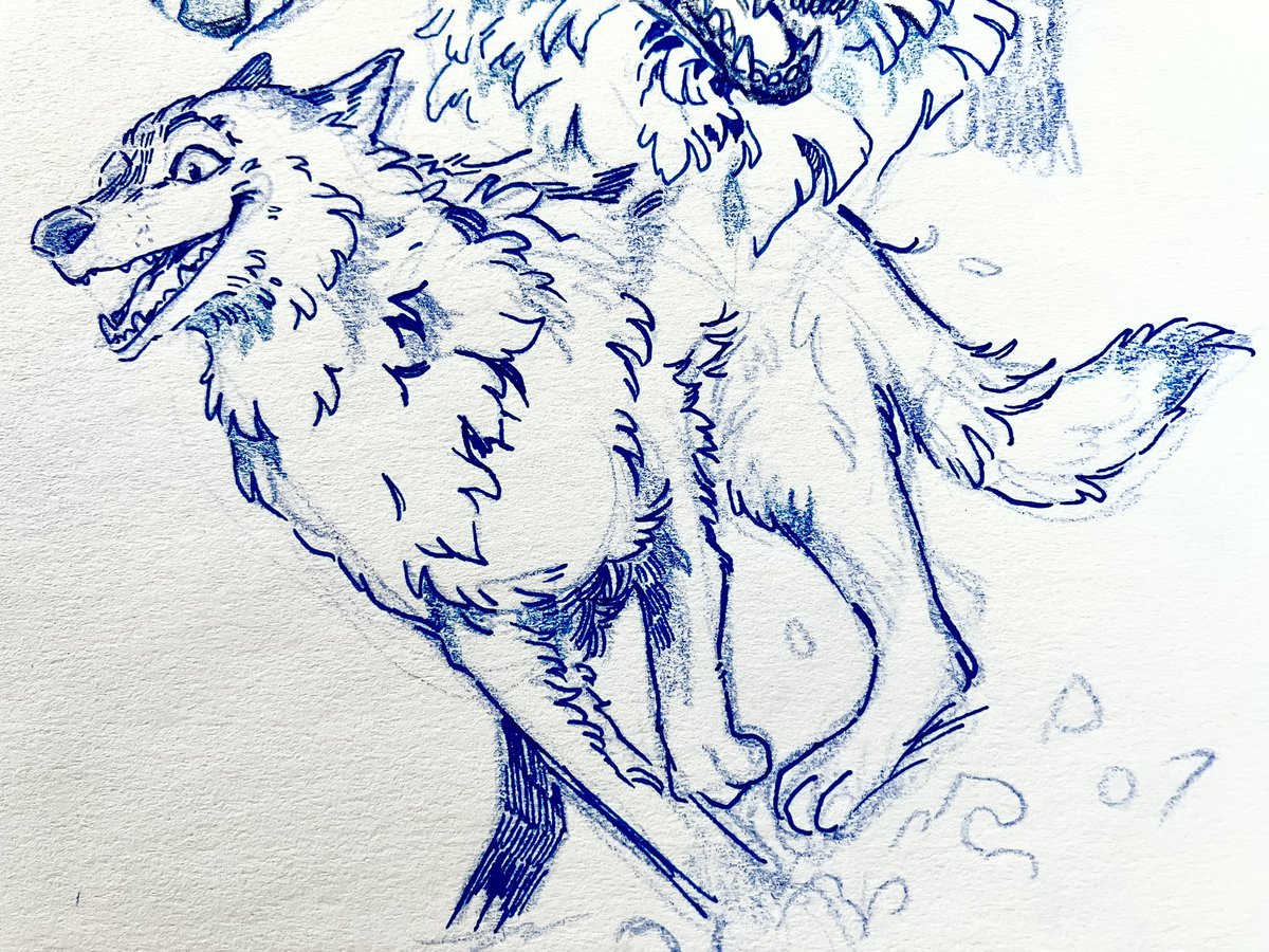 Hello it's been a while! I'm trying to teach my brain to not overwork itself so I'm taking a break from digital. Instead I'm going try drawing things out of my comfort zone, so here are some wolf studies and shenanigans :) 