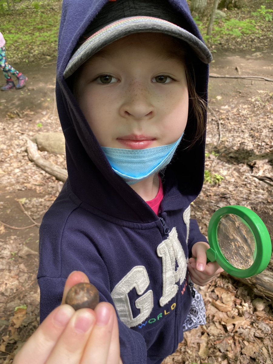 AnneSeniuk's tweet photo. We explored the forest today to look at flowers, seeds, bark, roots. We even combined our plant unit with our structures unit! Mother Nature didn’t disappoint !! @KanataHighlands https://t.co/wXT5RkraEB