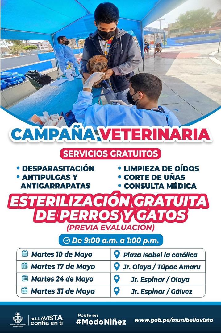 Muni_Bellavista's tweet photo. 🐶🐱 | ¡CAMPAÑA VETERINARIA!

⏰Desde las 9:00 a. m. hasta la 1:00 p.m.
📅Martes 31 de mayo
📍Jr. Espinar / Gálvez

⚠️Nota: Todas las mascotas deben venir con su correa.
⚠️Cupos limitados

#BellavistaConfíaEnTi
#ModoNiñez https://t.co/347xJAdjuJ