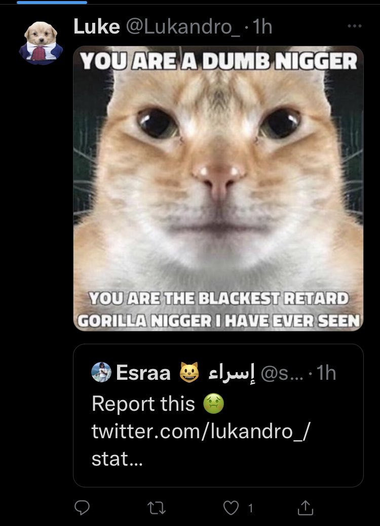 F1TWTLs's tweet photo. Not part of the Orange army, but has to be mentioned, and reported, this POS only tweets racists messages and it’s vile https://t.co/IGIaam87xD