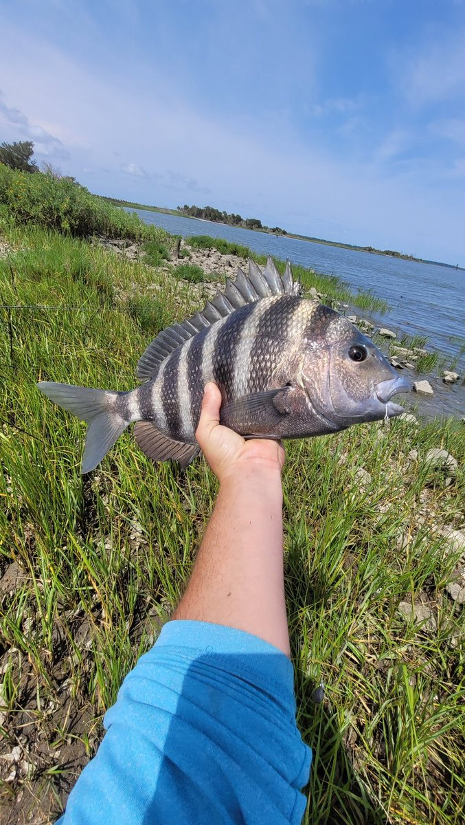 SadleyTim's tweet photo. @traderthiz Go fishing https://t.co/f8dvsnENSV