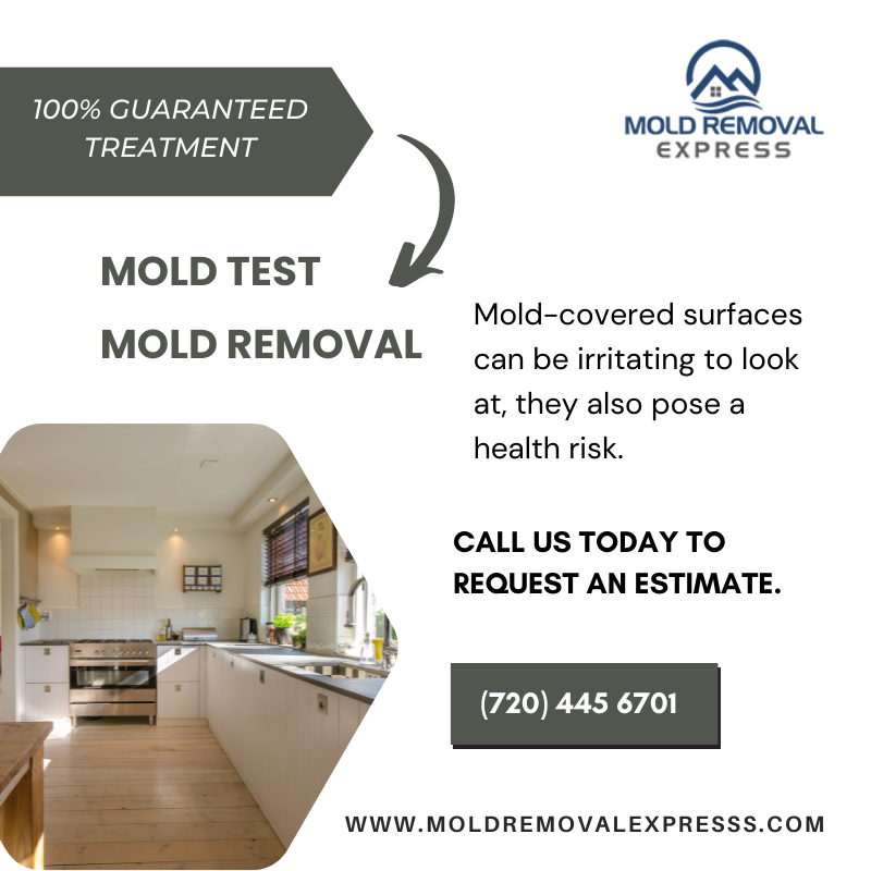 MoldRemovalXP's tweet photo. Mold-covered surfaces can be irritating to look at, they also pose a health risk. We provide you with the best service to ensure: 100%  Guaranteed + Affordable Mold Testing &amp; Remediation.
#denver #boulder #fortcollins #wyoming #colorado #coloradosprings https://t.co/pUyiWFD7yQ