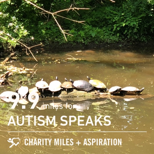 HHGStudio's tweet photo. 9.9 @CharityMiles for @autismspeaks. https://t.co/tV8FRP5sjg