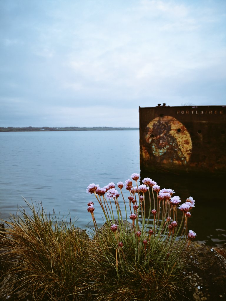 Leona Tuck tweet media