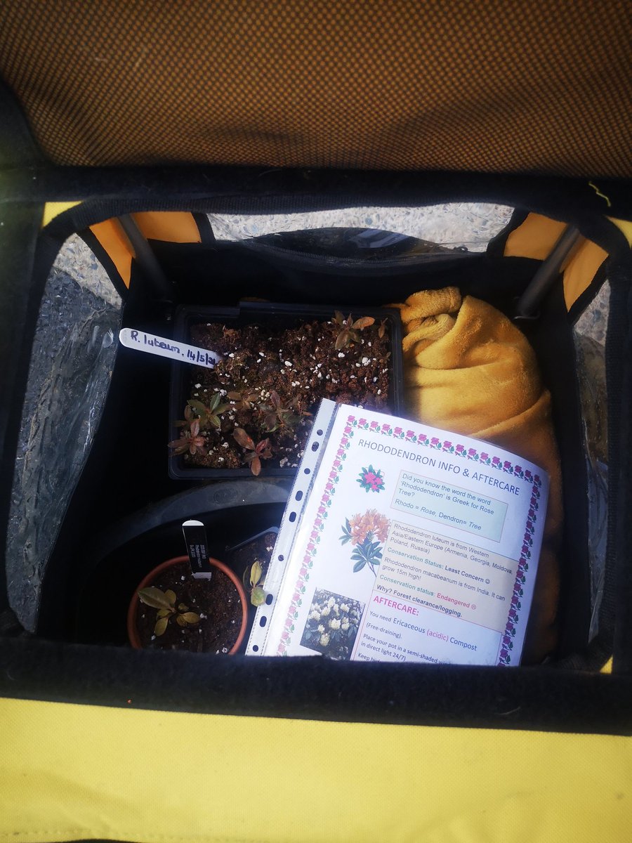 When your pet bike trailer doubles up as a plant courier service 😂🌱 🚲 lovin' the William Marshall "Slow Down" road signage ⚜️ #Wexford  <a href="/TheNormanWay/">The Norman Way</a> <a href="/WexBug/">💜💛WexBUG (Wexford Bicycle User Group)💜💛🇮🇪</a>  <a href="/ADWart/">ADW art</a> <a href="/SusanTheSilent/">Mary Caulfield @susanthesilent.bsky.social</a>