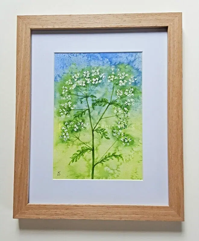 Loving the wild flowers on the roadsides & field edges at the moment. If you would like to capture the Frothy Cow Parsley, I have listed this Bright Springtime Watercolour Painting in my @BritishCrafting shop  thebritishcrafthouse.co.uk/product/bright… 
#newontbch #womaninbizhour #YourBizHour #art