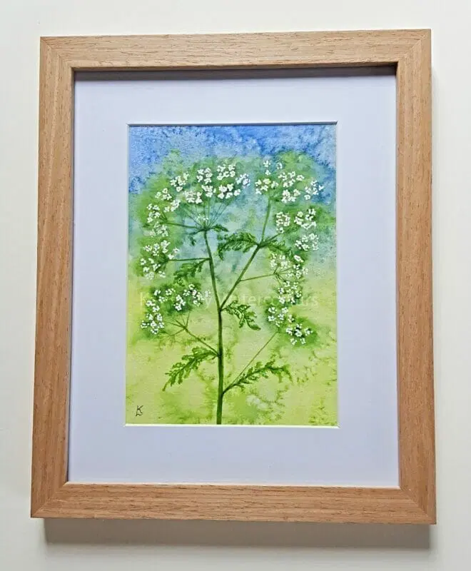 Loving the wild flowers on the roadsides &amp; field edges at the moment. If you would like to capture the Frothy Cow Parsley, I have listed this Bright Springtime Watercolour Painting in my <a href="/BritishCrafting/">BritishCraftHouse</a> shop  thebritishcrafthouse.co.uk/product/bright… 
#newontbch #womaninbizhour #YourBizHour #art