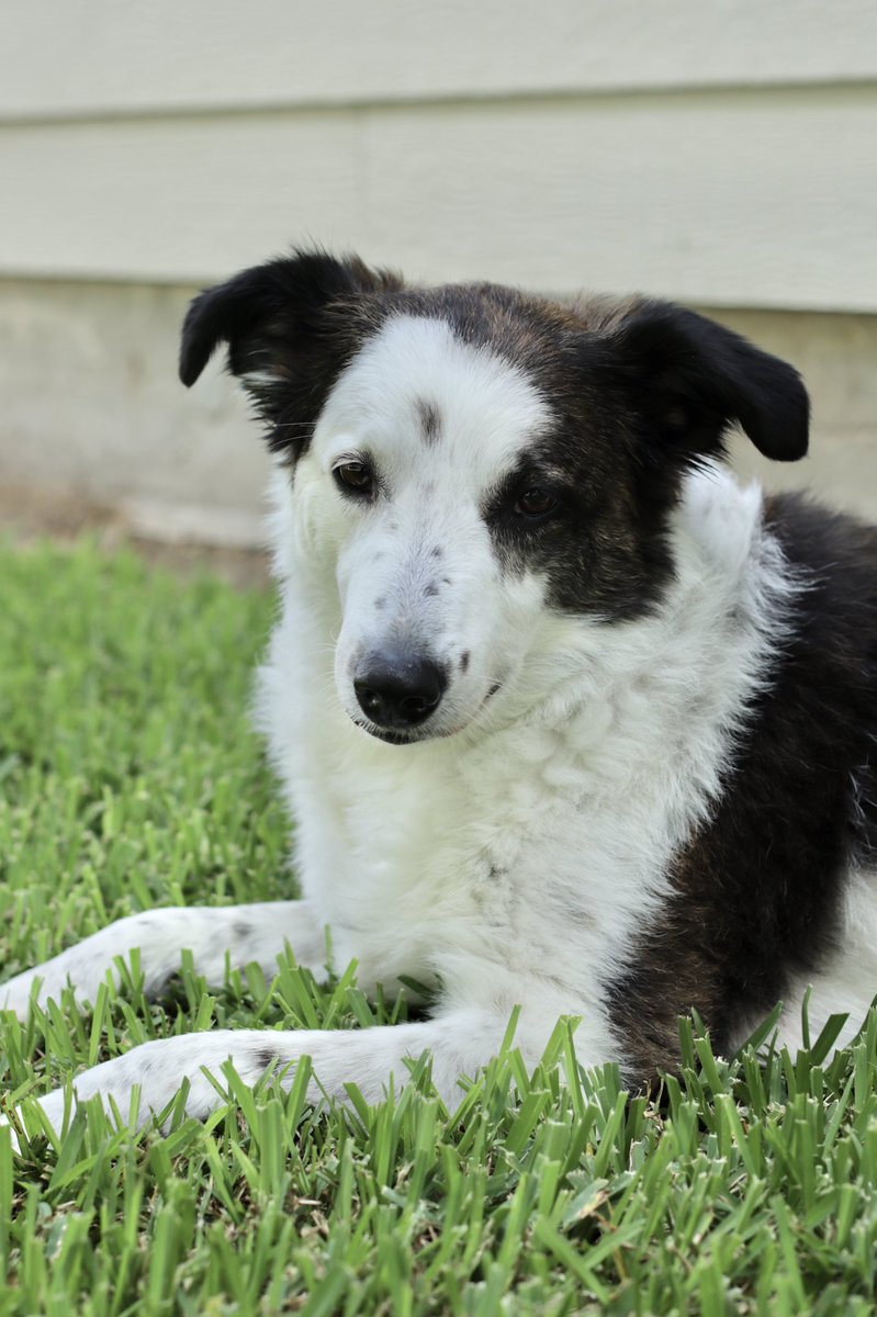 Charlie has her RSF. Resting Summer Face!! She says wake me up in August when it’s time to go back to work 😂