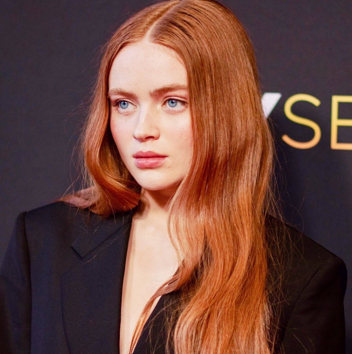 cinergiaonline's tweet photo. 🎬 Sadie Sink (#StrangerThings4) protagonizará The Whale junto a Brendan Fraser y Hong Chau, la nueva película de Darren Aronofsky para a A24. https://t.co/1rRhmwKy2x