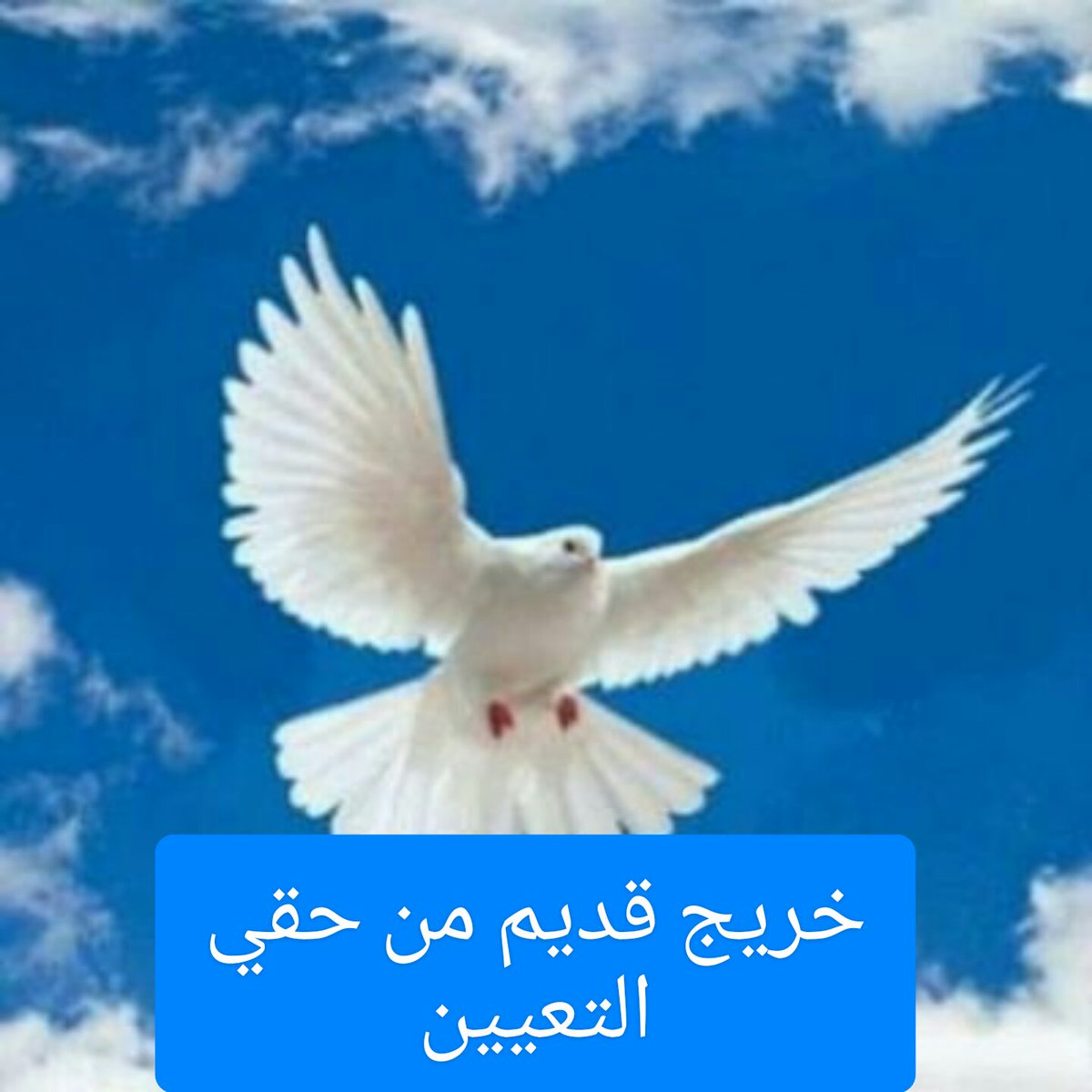#انصفوا_خريج_قديم_بموازنه22 
#خريج_قديم_ضحيه_فساد_19عام
نحن لن نسكت عن حقنا و #سنجعلها_ثوره
و مطالبنا يجب أن تتحقق.
#الخريجون_يدعمون_من_يدعمهم
رابطة الخريجين القدامى في العراق 🇮🇶
برئاسة الاستاذ نبراس الخزعلي

21