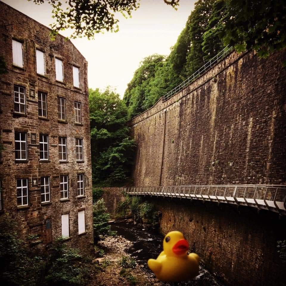🦆 We must be quackers…watch this space.

#NewMillsFestival #NewMillsFestival2022 
#nmf22 #NewMills #festival #events #GetInvolved #HighPeak #derbyshire #community #business #WorkingTogether #duckrace #nmduckrace22