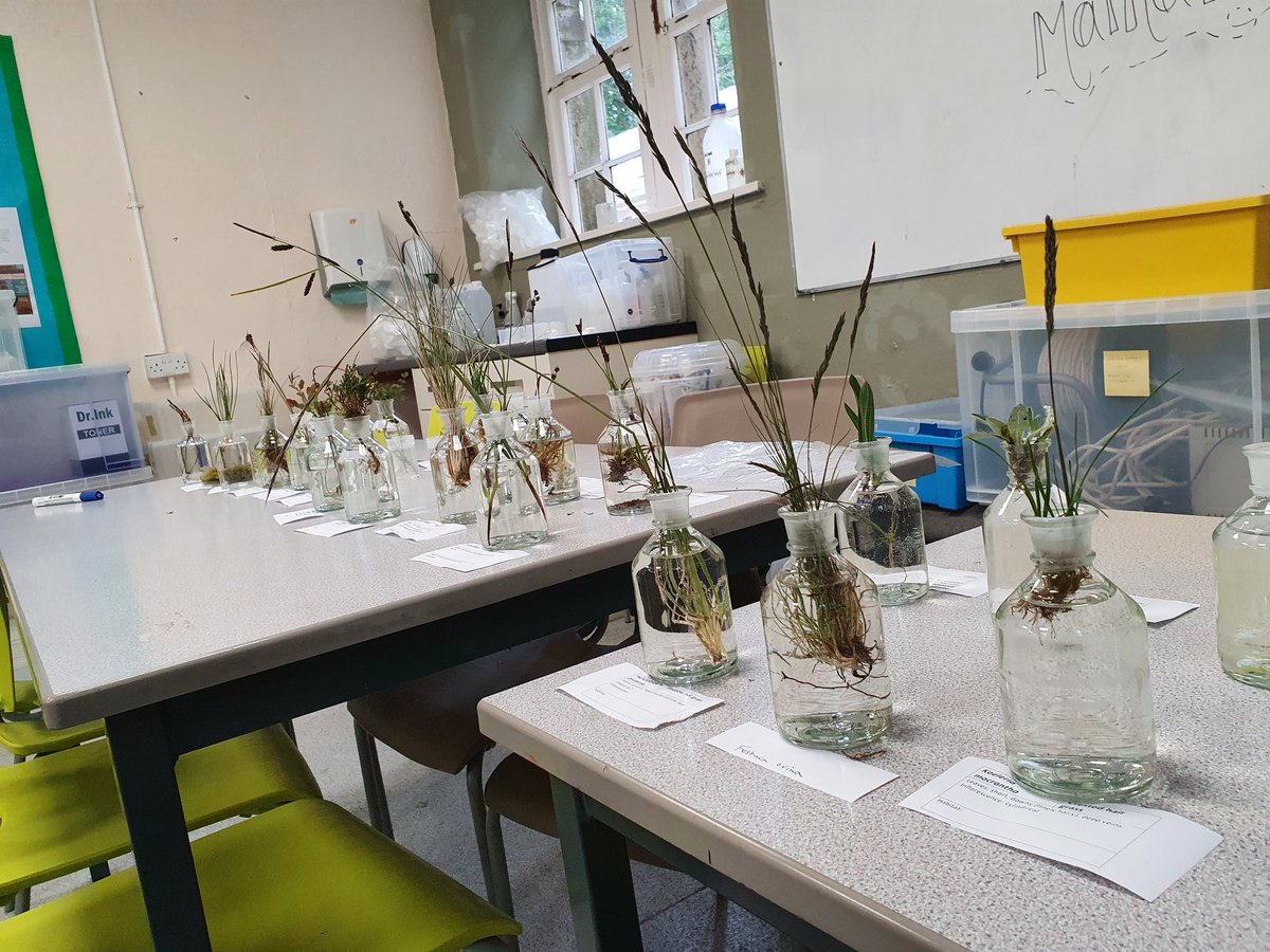 Chris Mackin tweet media