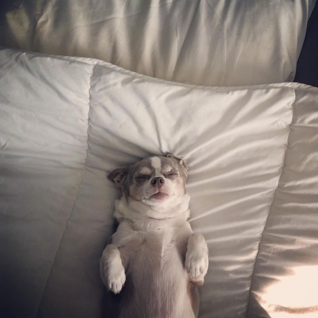 Come Back Daily tweet media