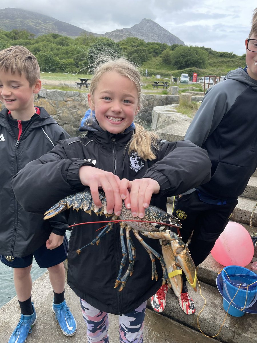 Hulmey75's tweet photo. Spot of crab fishing today and ended up with lobster  🦞 😁 #happyholidays #MakingMemories #carefultheynip #inthepan @MichHulme99 https://t.co/2bO1cWuR0t