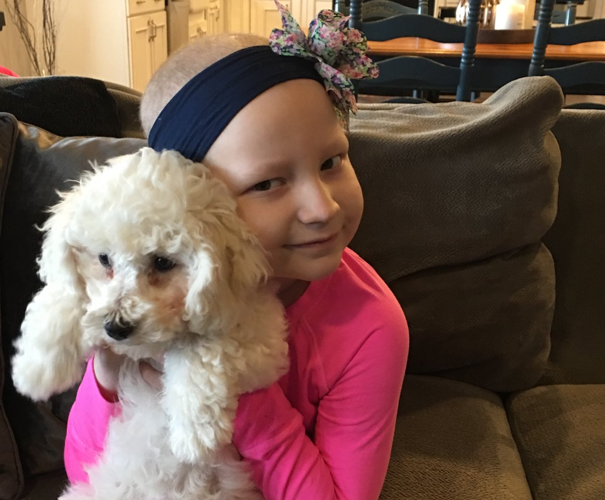 StJude's tweet photo. Ellee was only 5 years old when she was diagnosed with leukemia and referred to #StJude for treatment. Now she is 11 and remains in remission! Way to go Ellee! 

See how far this sweet girl has come since her treatment. https://t.co/YtVmktufxV