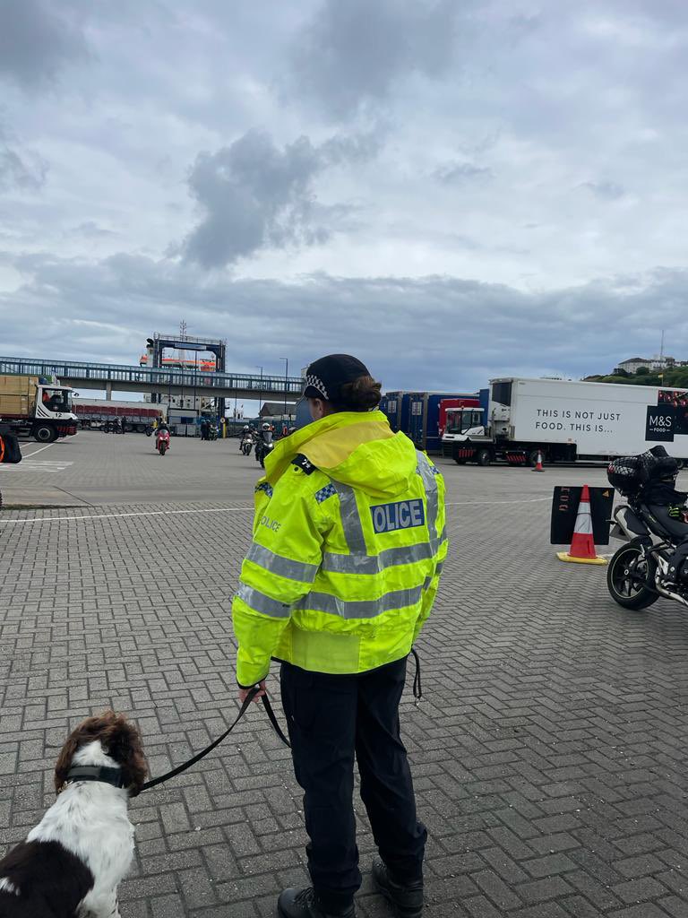 IOM Police Dogs tweet media