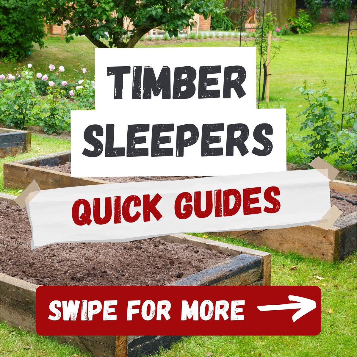 ElliottBrothers's tweet photo. Build attractive raised plant/ veggie beds, by using our quick guide to get your project started. You’ll be reaping the rewards in no time!
#elliotts #buildersmerchant #quickguides #helpyoubuild https://t.co/17zWNIP45d