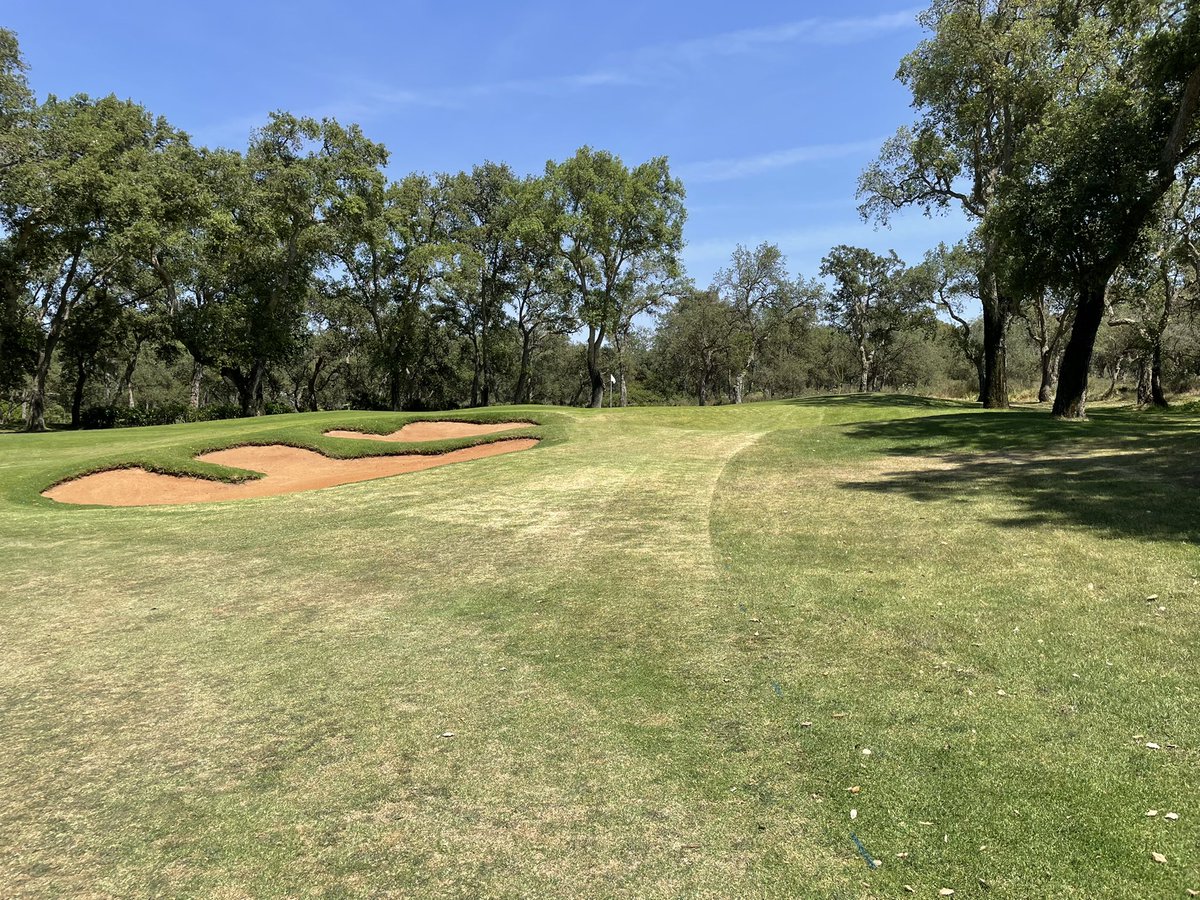 SR89turf's tweet photo. We call it ‘optimizing’ 🪒 https://t.co/pCh6xbD3tf