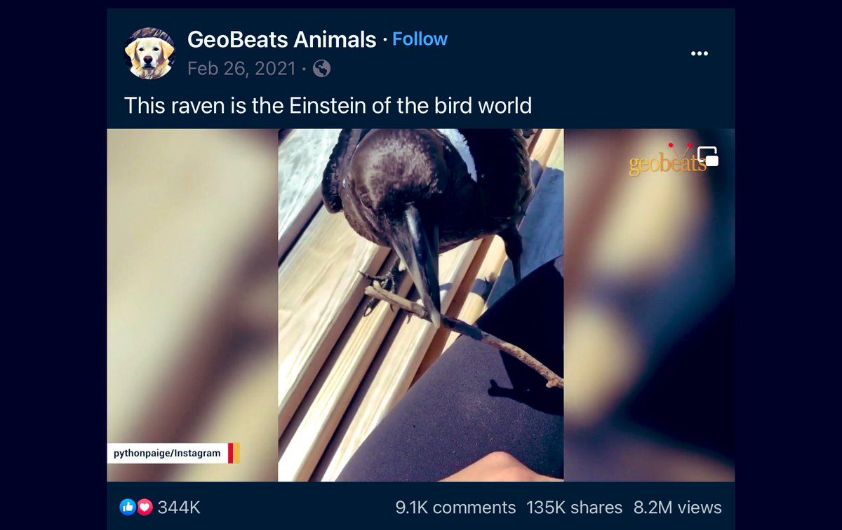 travelanita1's tweet photo. https://t.co/8yjtMmBBSo
#RavenLoVe🖤 https://t.co/kWihoVuTFF