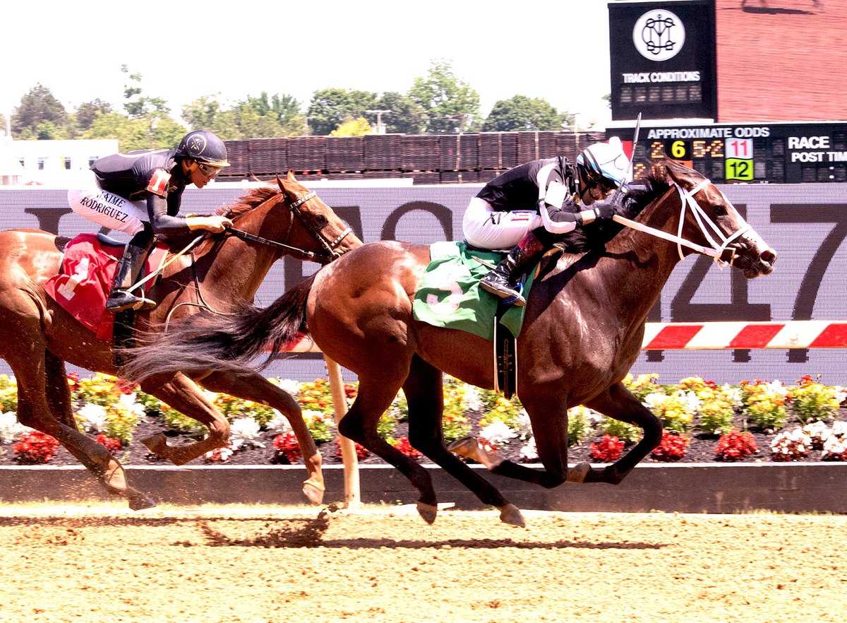 Maryland Horsemen tweet media