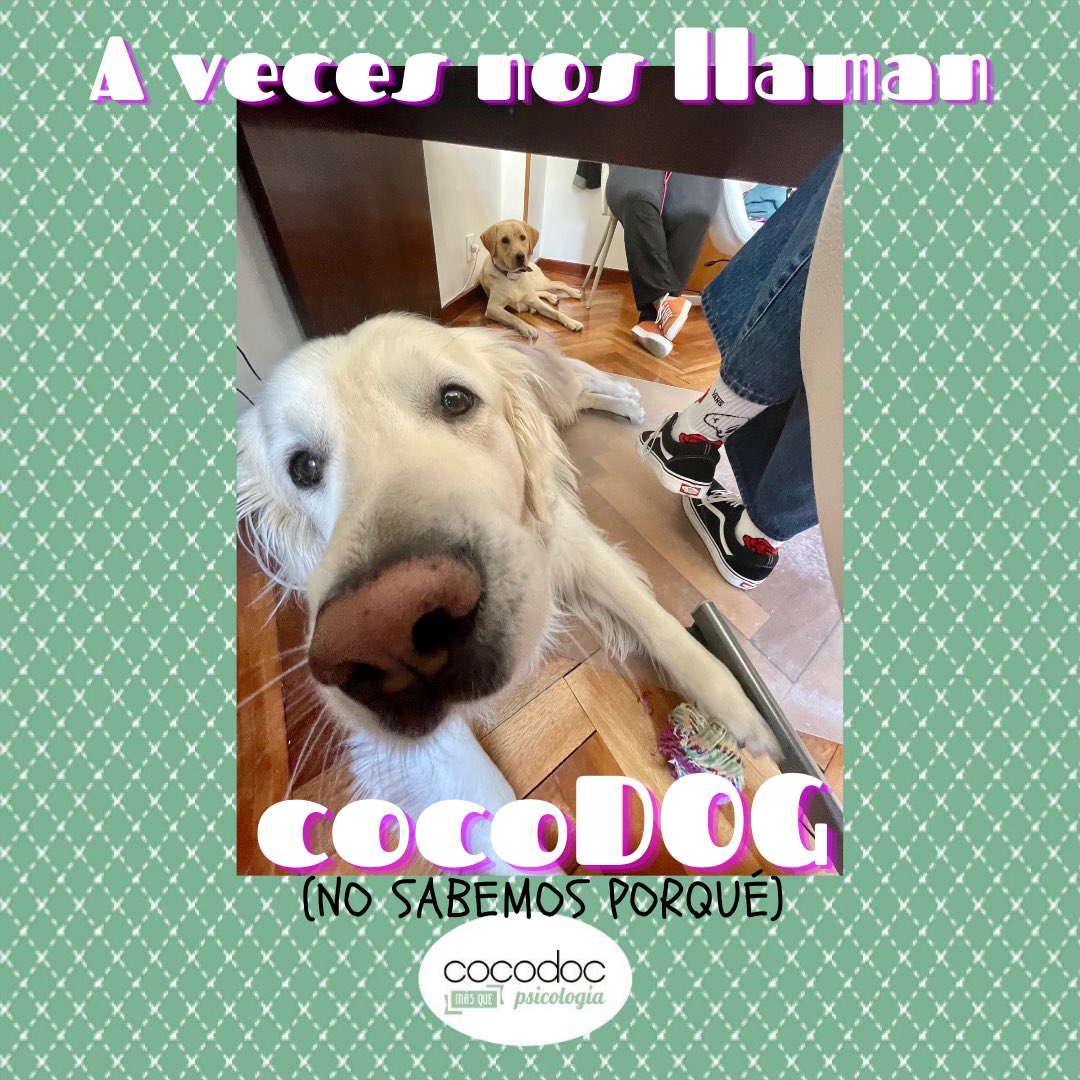 _cocodoc's tweet image. #lunes
#cocodocpsicología 
#psicólogasvitoria 
#drfreud 
#psicología 
#vitoriagasteiz