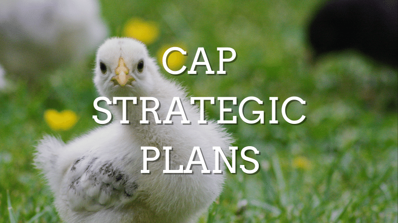 ARC2020eu's tweet photo. A new debate has sparked on food security in Europe. The derogation to allow production on fallow land, the state of grain production and use as feed in Europe: What does it entail for the future of the livestock sector?
https://t.co/Rn2lgpJUhh https://t.co/GArFBN20NF