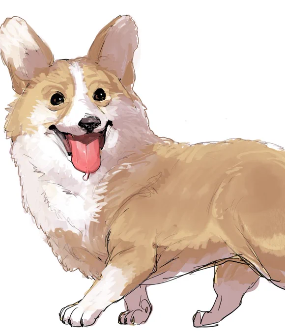 こーぎー 
