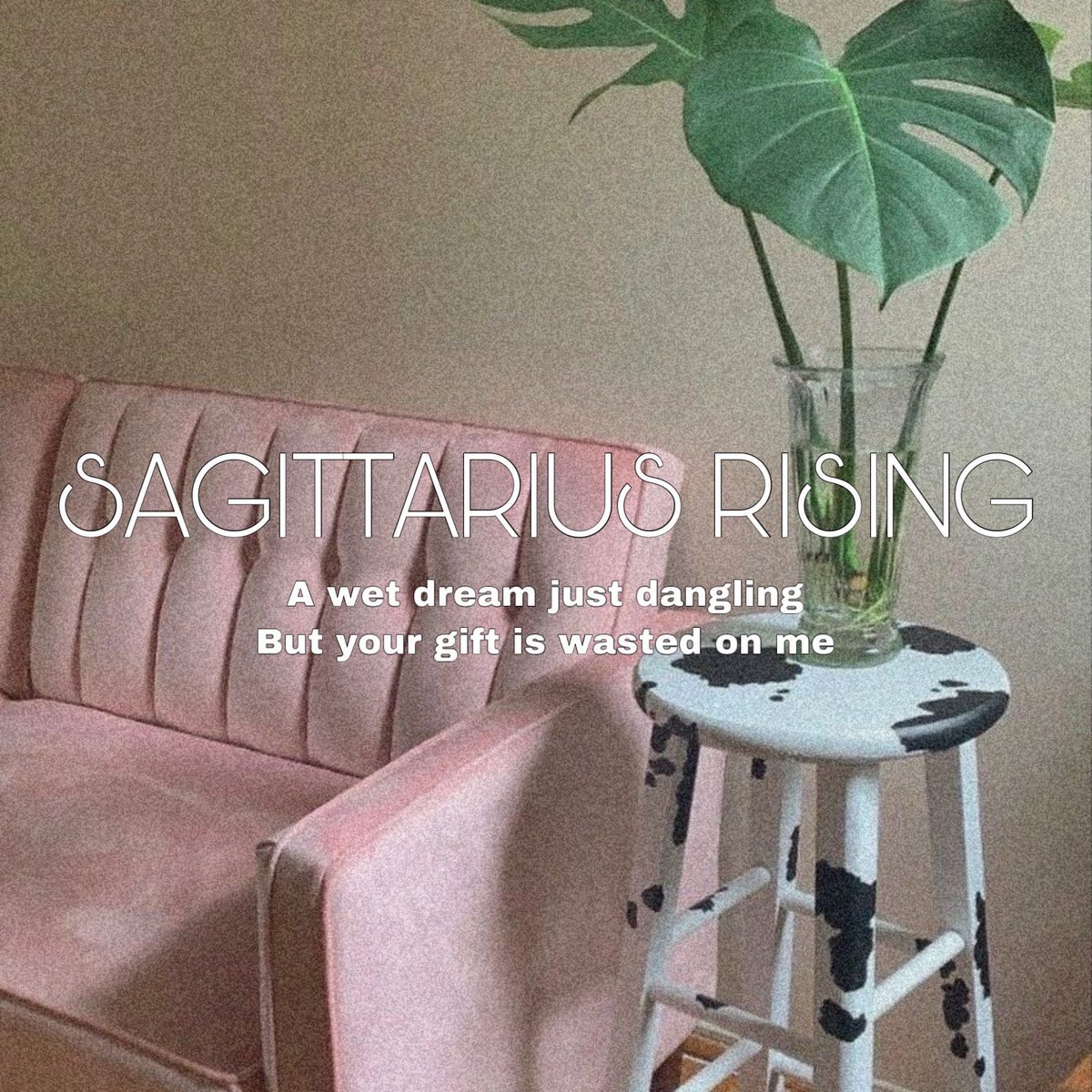 why are mine so horny 🤣