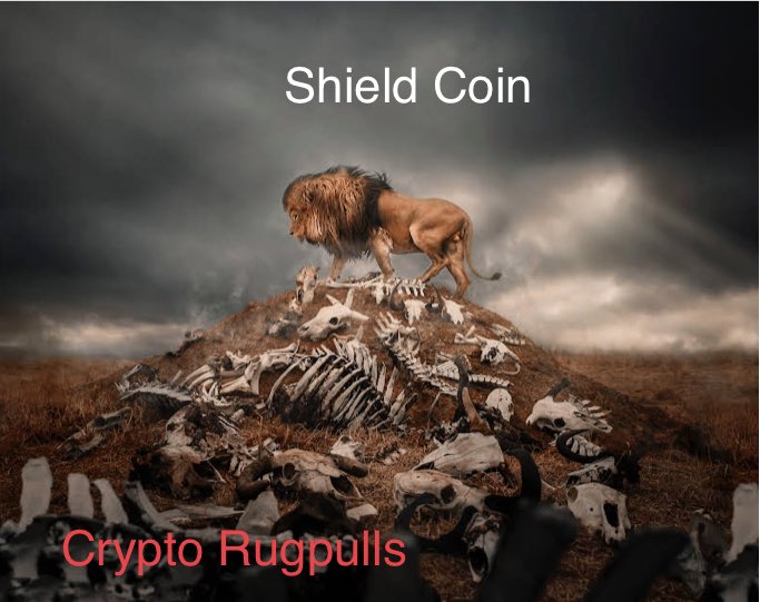 Shield Coin tweet media