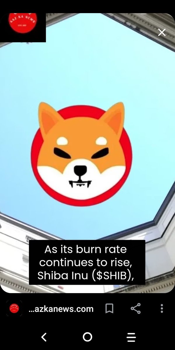 SHIBA🐶INU U R THE BEST🪙 (@michael55245833) on Twitter photo 