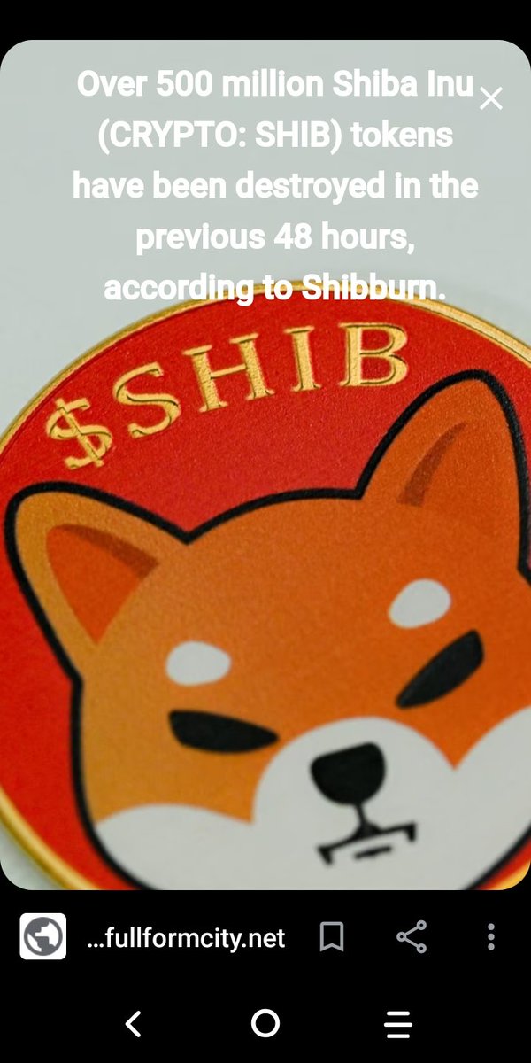 SHIBA🐶INU U R THE BEST🪙 (@michael55245833) on Twitter photo 