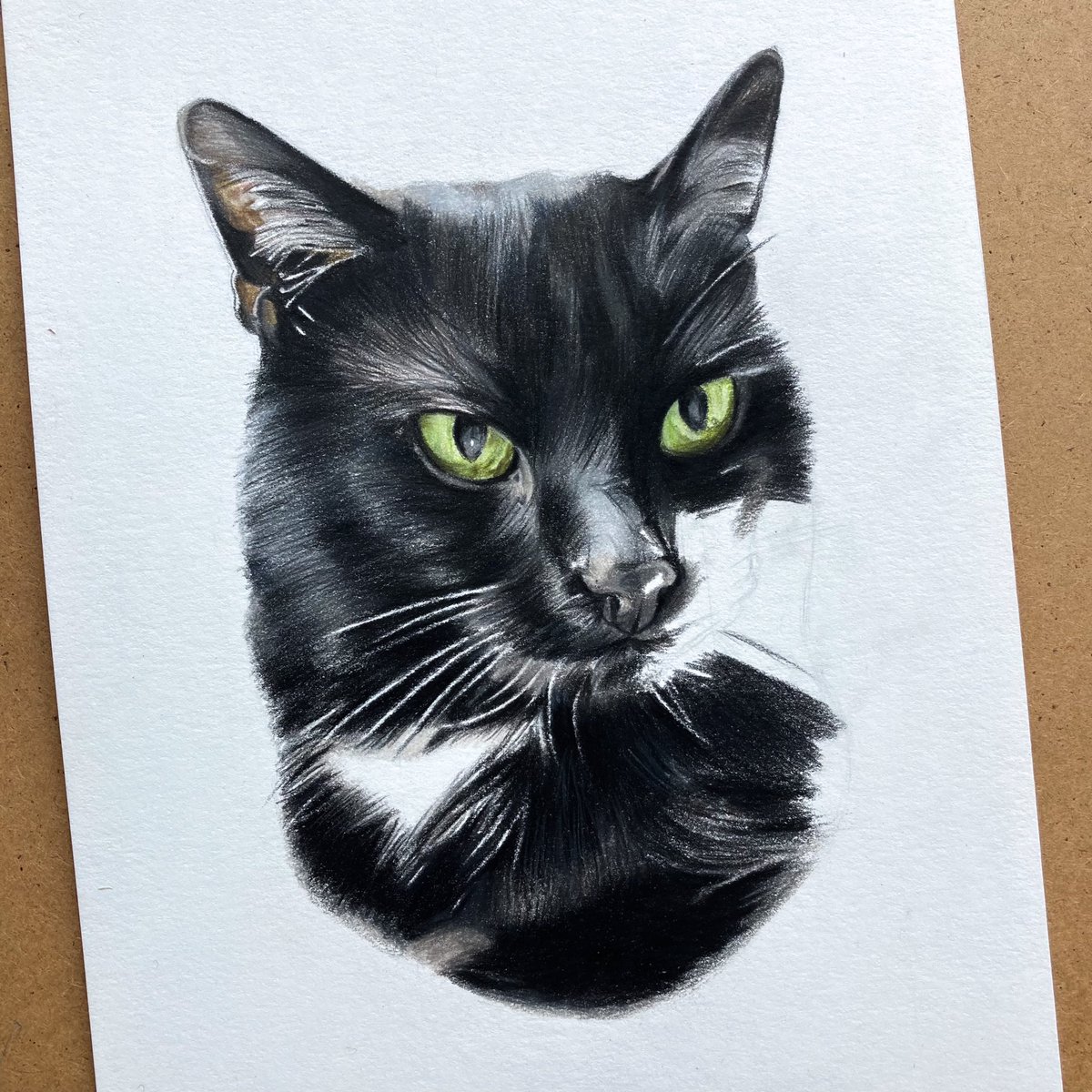 SashaMalikArt's tweet photo. A wee work in progress of Pablo โบ๏ธ#PetPortrait #EdinburghArtists https://t.co/y4EyM5BjMm