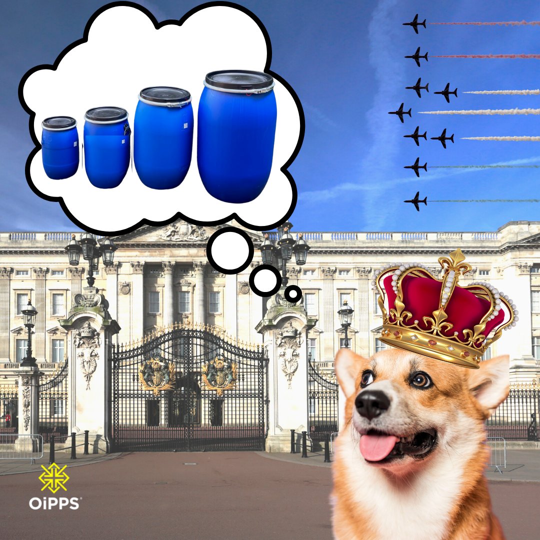 OiPPS's tweet photo. Just what size of keg should Rex the Corgi choose for the celebration biscuits this Jubilee weekend? 30 litres, 60 litres, 120 litres or 220 litres?
(Honestly Rex i'd go with the 220!)

#Jubilee #PlatinumJubilee #Bulkstorage #PetFood #PetFoodStorage #DogFoodStorage #Corgi #Dog https://t.co/KQ1imGlDBK