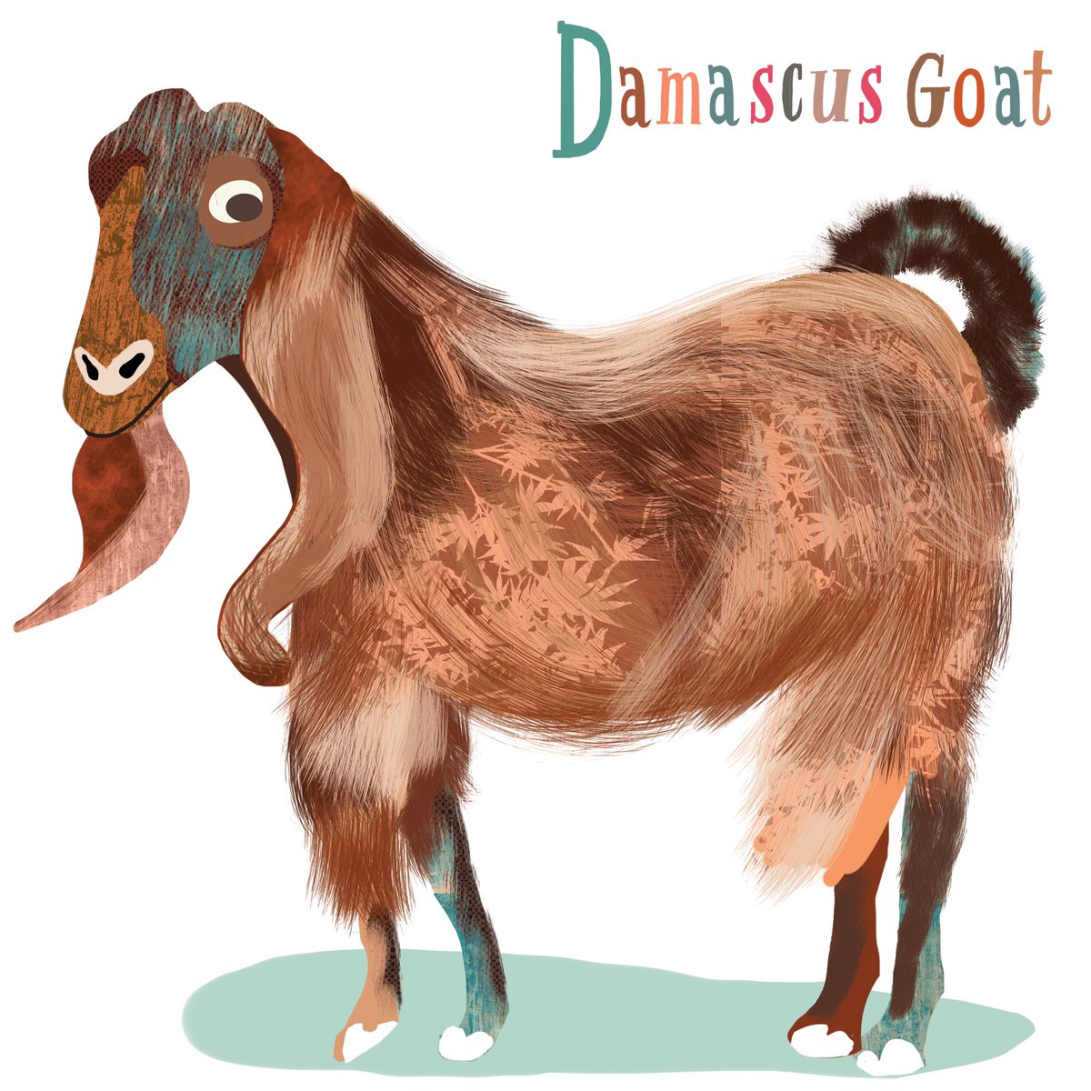 Tracy Cottingham tweet media