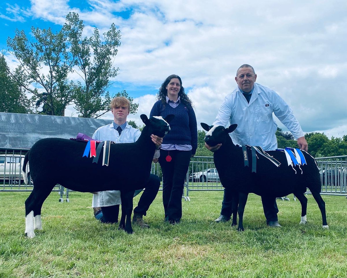 ZwartblesUK's tweet photo. Shropshire County Show - just two shearling ewes - 1st Ros Juniper &amp; 3rd Ros Jeroboam with Juniper going on to be Champion. Very proud of Oscar getting overall Champion Young Handler too! #RoscallieZwartbles #Proudofoursheep #GoodFriends https://t.co/8nc4uurxkh