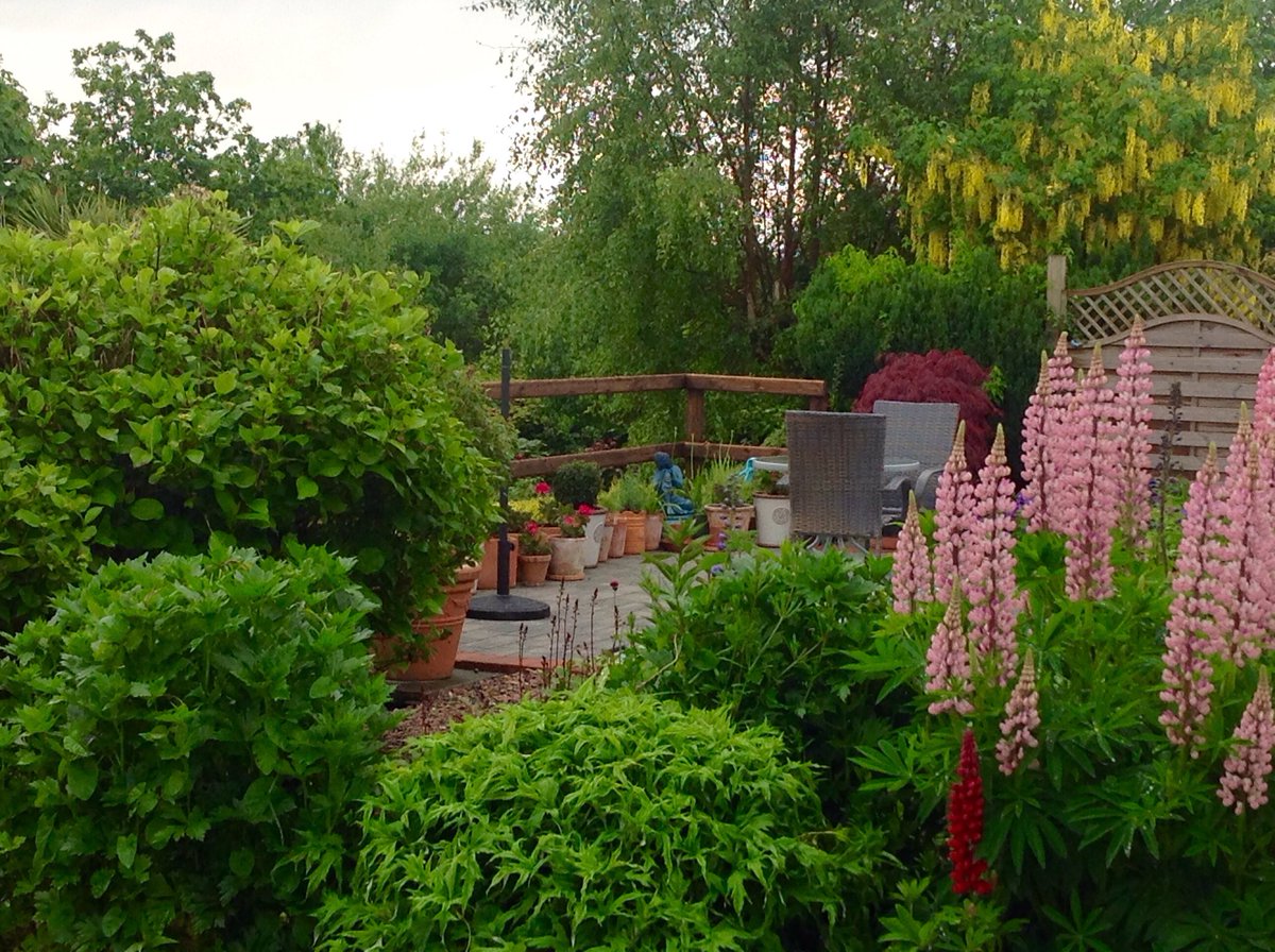 Kevin Foley tweet media