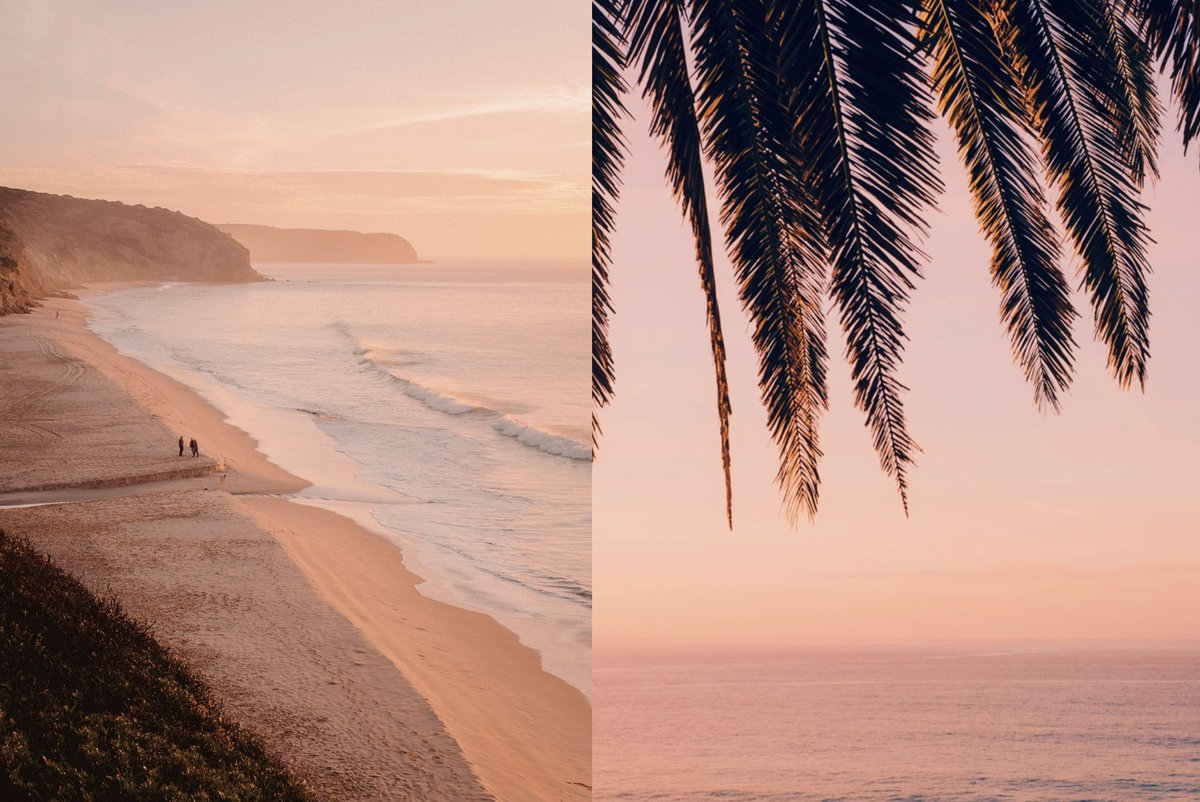 s o n i a tweet media