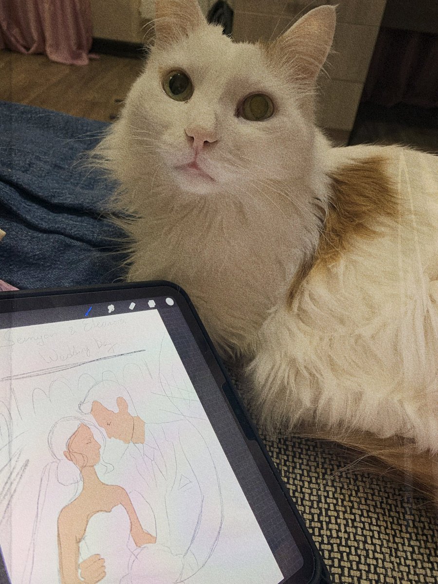 eleoarts_'s tweet photo. GN #NFTCommumity 🌛
The benefits of being an artist: you can create your own wedding invitations🌝 https://t.co/dTeOHCxQaC