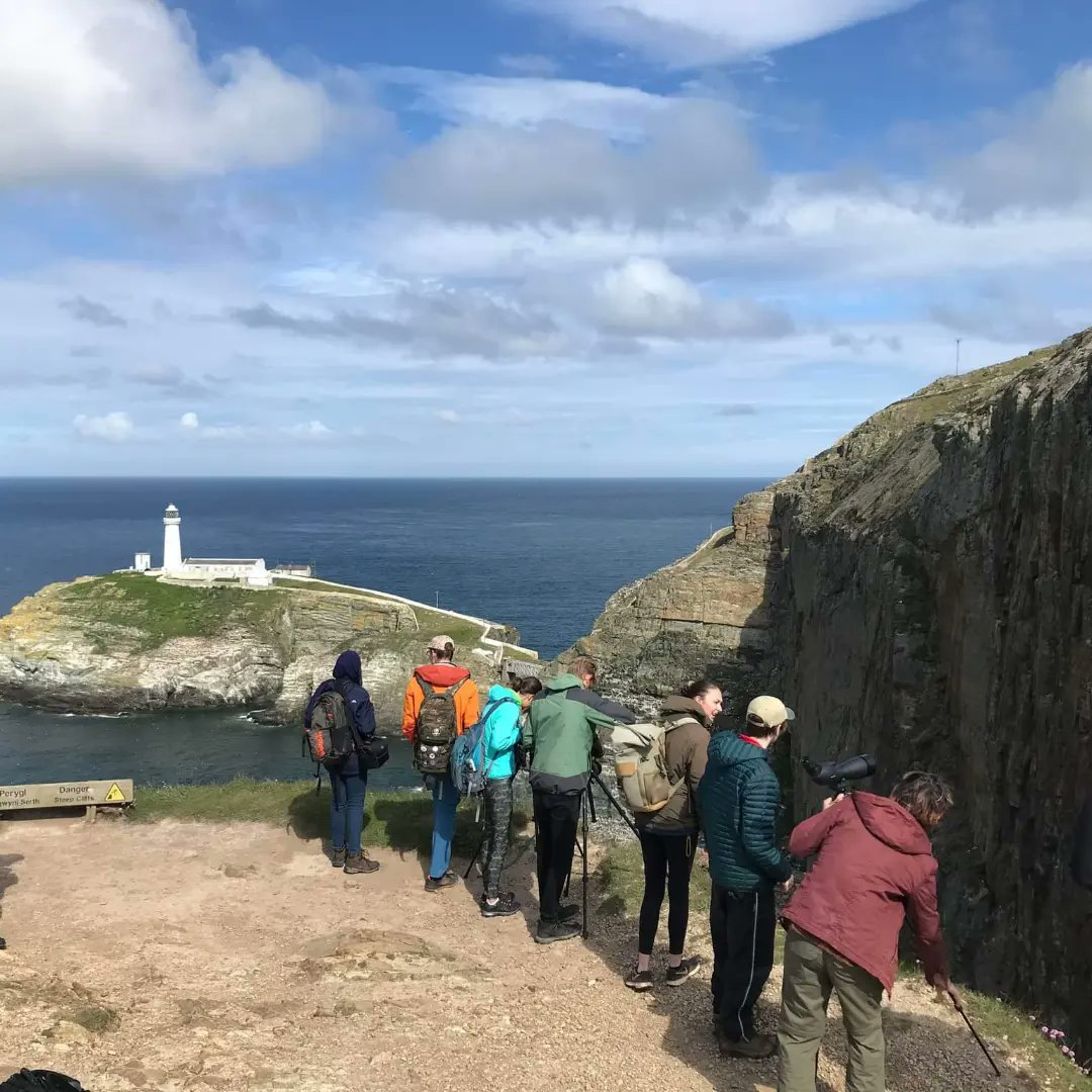 Bangor University Birdwatching Society tweet media
