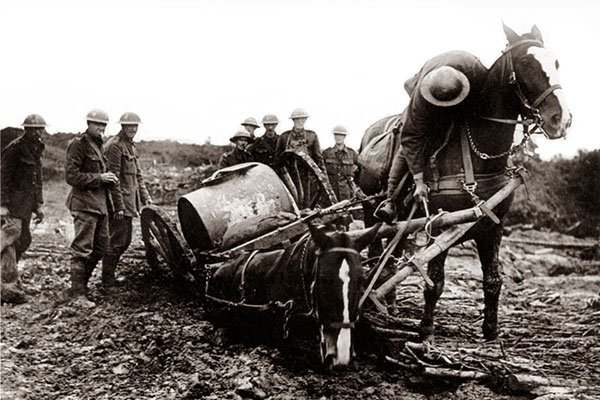 UnbridledTBF's tweet photo. Unimaginable are the horrors endured by horses in the face of war. As we pause today to remember all those who suffered and died in battle, we must not forget that millions of animals continue to be innocent victims in brutal conflicts across the world today. 📷 © Crown Copyright https://t.co/YsKAxVK0d9