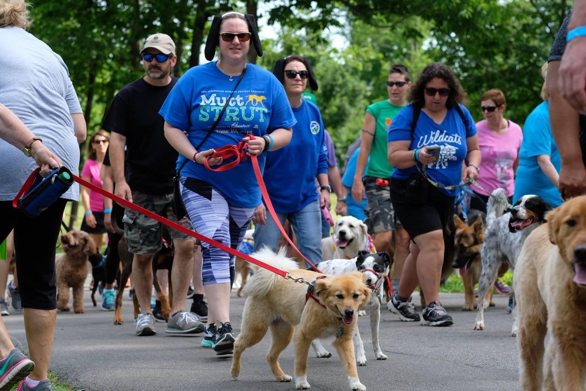 Come see us at Keeneland for the #muttstrut this Saturday June 4th! Big Bentley’s products will be available! #lexhumanesociety #feederspetsupply #bigbentleyspetsupply #muttstrut #bottledinthebluegrass