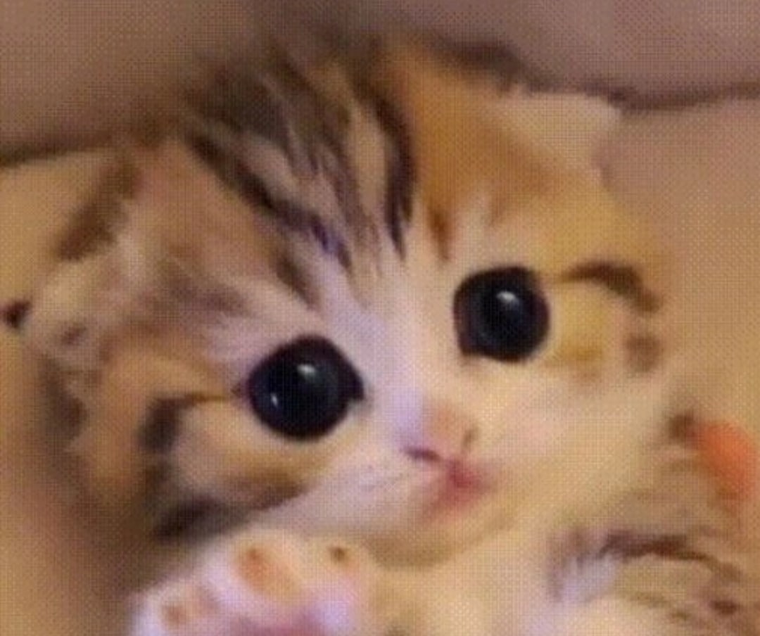 блайт tweet media