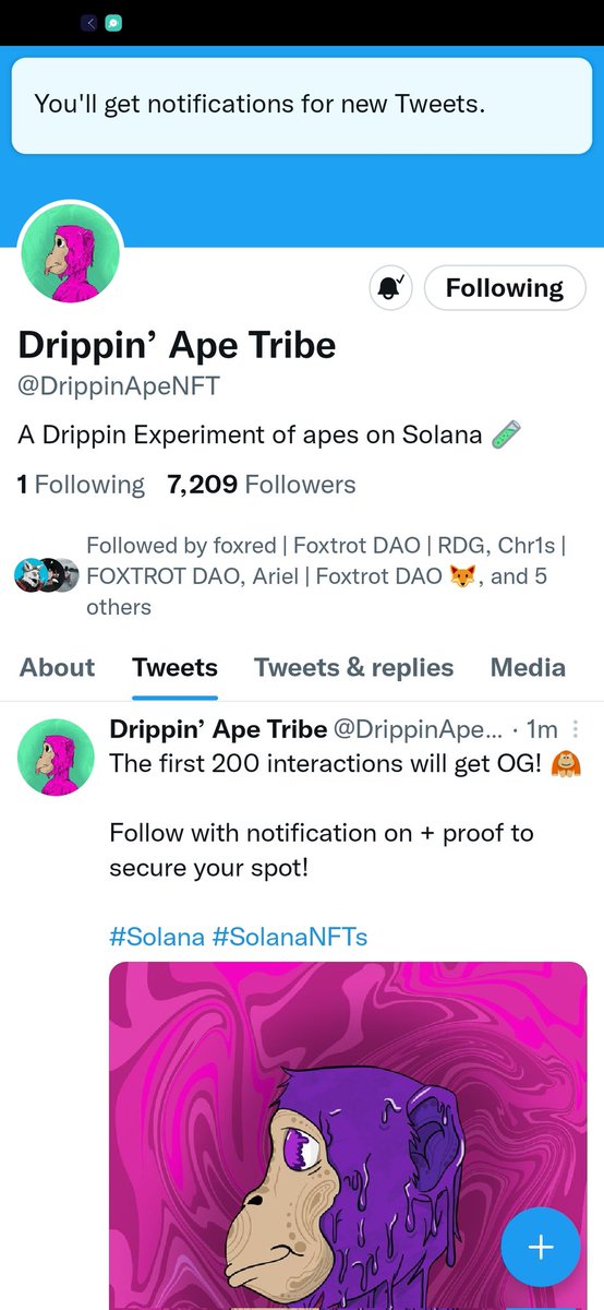 ChingFxT's tweet photo. @DrippinApeNFT https://t.co/ltxqWYrrpL