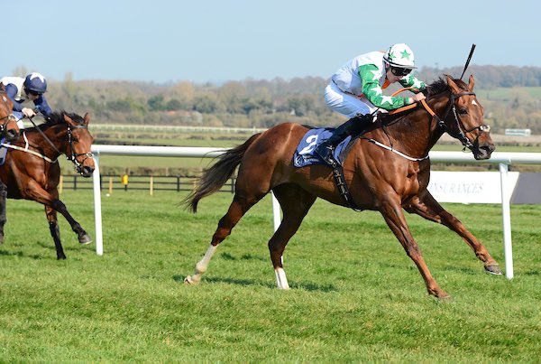 adomcguinness1's tweet photo. What an incredible start to 2022
🚀G1 Al Quoz Sprint 
🍀G3 Amethyst Stakes
🚀Only 4 flat trainers with more     winners 
🍀€1M in prizemoney earnings
🚀Many thanks to my hard working Team
🍀TopSponsor @bt_osullivan 
@ShamrockTBS @thoroughbredsuk @HRIOwners https://t.co/dJpwEYs1Rl