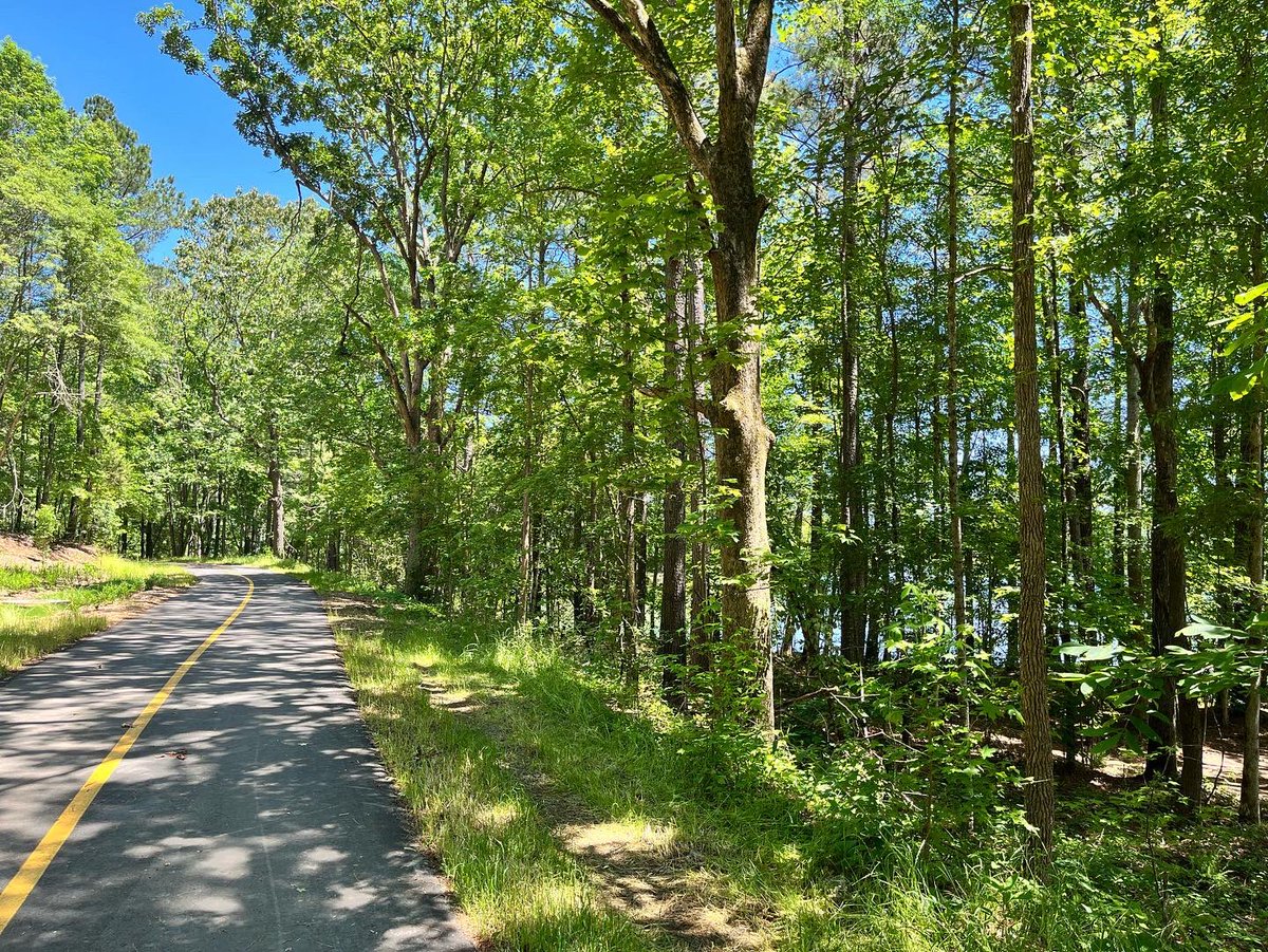 shestypea's tweet photo. I went for a hike at this beautiful park the other day, and there were many great (for the lack of a better word) story prompts. 

Enjoy: https://t.co/YN2mkBWezr