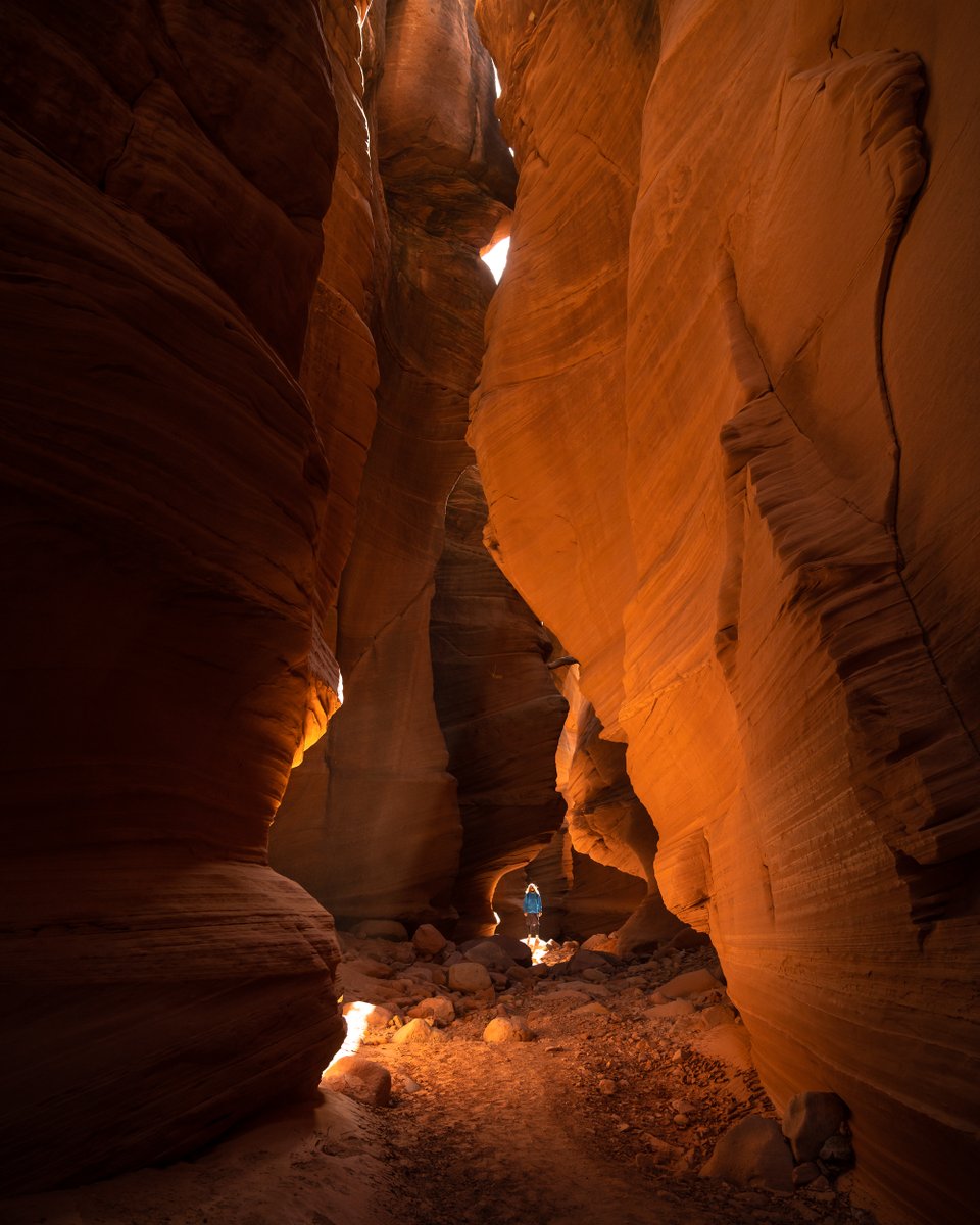 RossBernards's tweet image. Finding light in dark places. Something we all need to do right now.