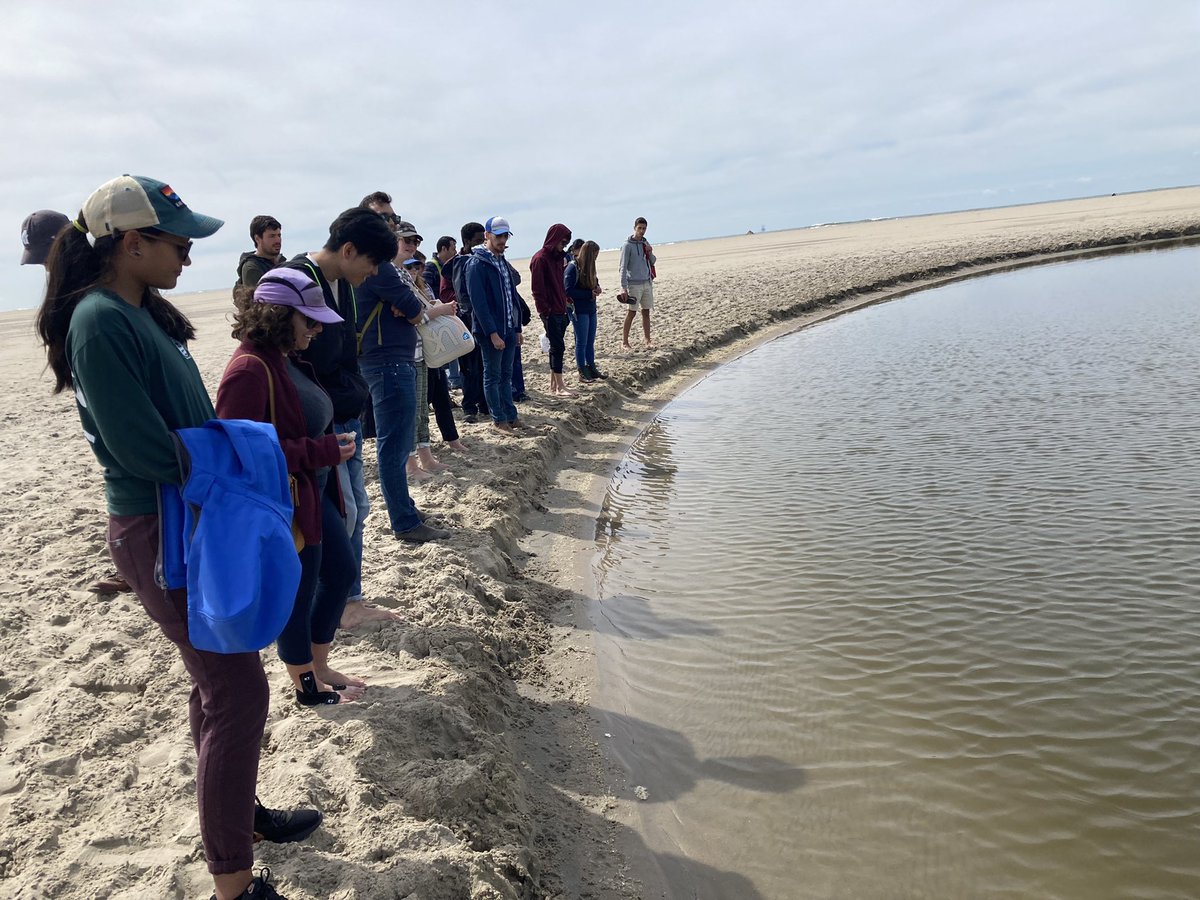 fostinez's tweet photo. 🌞gorgeous day 🌞 #iresNL22 comparing hard &amp; soft coastal engineering: #maeslantkering 13600 tons of steel with each gate ~length of the Eiffel Tower. And the #zandmotor #sandengine mega nourishment with 21 Mm3 of sand (6 Super Domes!) @UofNO @TheH2OInstitute https://t.co/nQ0EyJTr1l