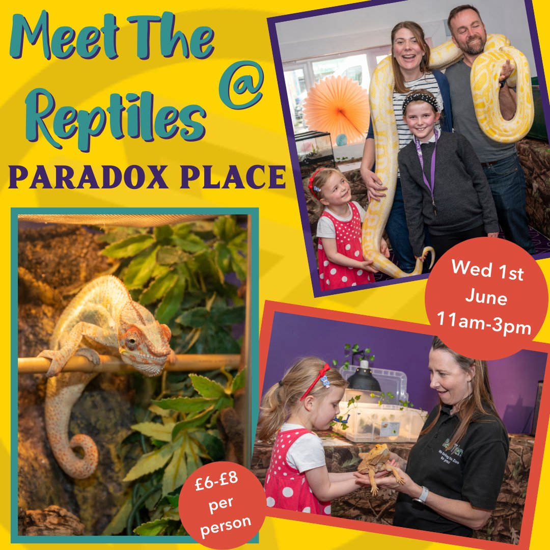 paradoxplaceBTN's tweet photo. π¦We're welcoming back the @reptylers team this Half-Term! Meet the reptiles in this amazing animal handling experience for all ages. #thingstodothishalfterm #halftermbrighton #whatsonbrighton #thingstodoinbrighton #thingstodoinbrightonwithkids #kidsofbrighton #mumsofbrighton https://t.co/4LLJmkMpX2